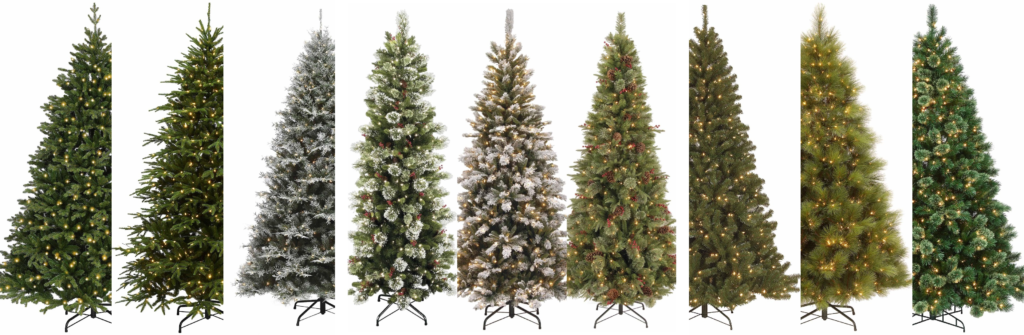 ABOUT US pretty tree